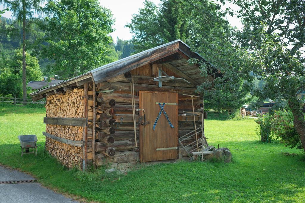 Bauernhof Auhof Apartment Wagrain Exterior photo